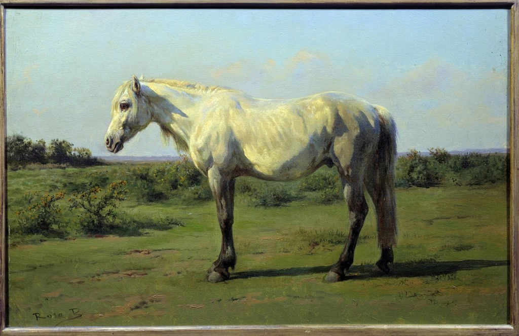 Cavallo bianco nella prateria - Musee des Beaux, Arts, Rouen